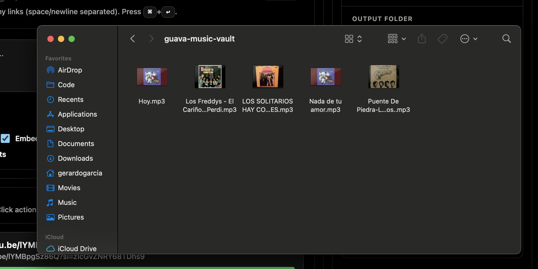 Local library view with saved items